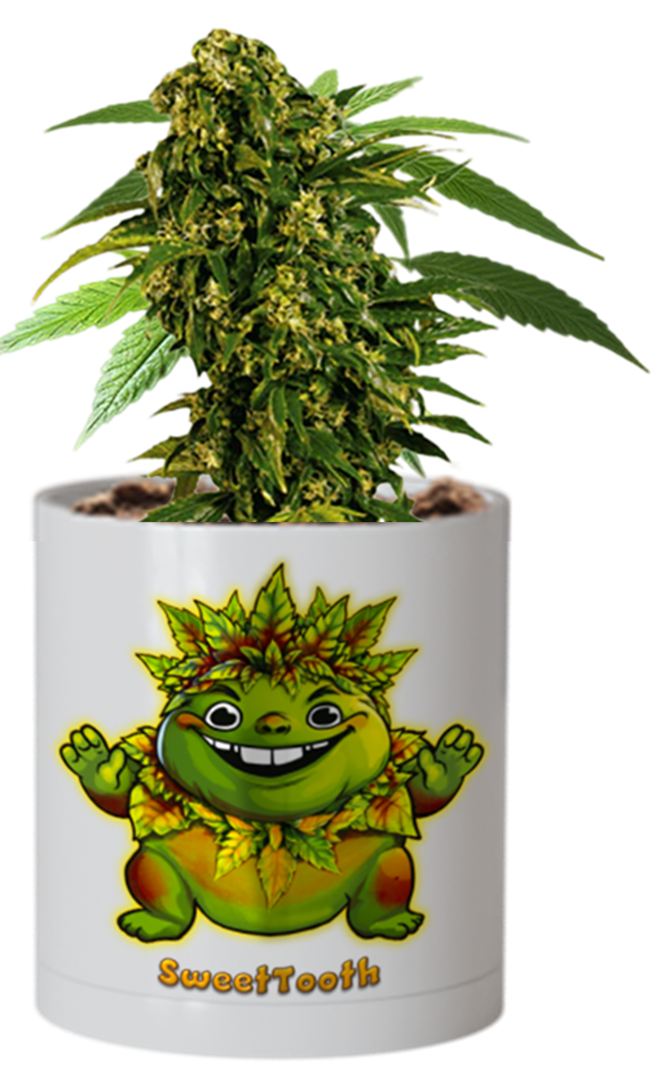 CheebaPet Planter Kit - SweetTooth