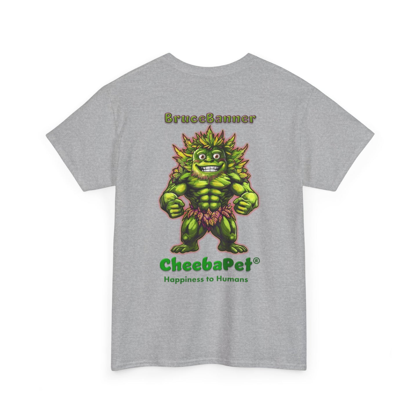 Express T BruceBanner