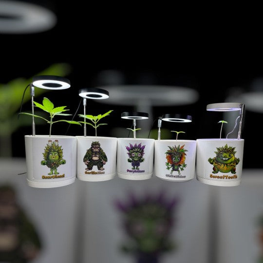 CheebaPet Halo Grow Light Mini - Full Spectrum 48 LEDs Adjustable Height 5" - 22"