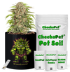 CheebaPet Planter Kit - BruceBanner