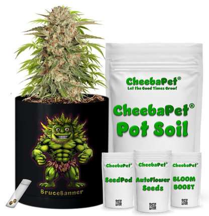 CheebaPet Planter Kit - BruceBanner