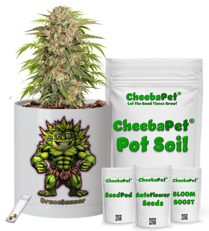 CheebaPet Planter Kit - BruceBanner