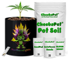 CheebaPet Planter Kit - NorthernLights