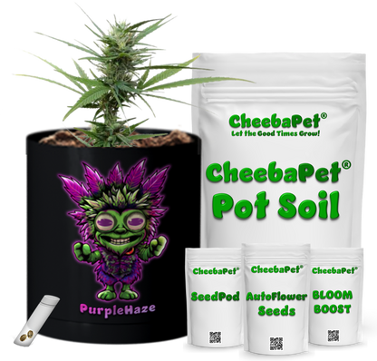 CheebaPet Planter Kit - PurpleHaze