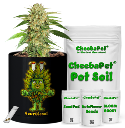 CheebaPet Planter Kit - SourDiesel