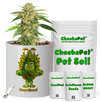 CheebaPet Planter Kit - SourDiesel