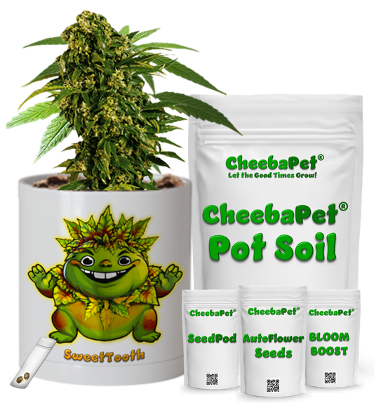 CheebaPet Planter Kit - SweetTooth