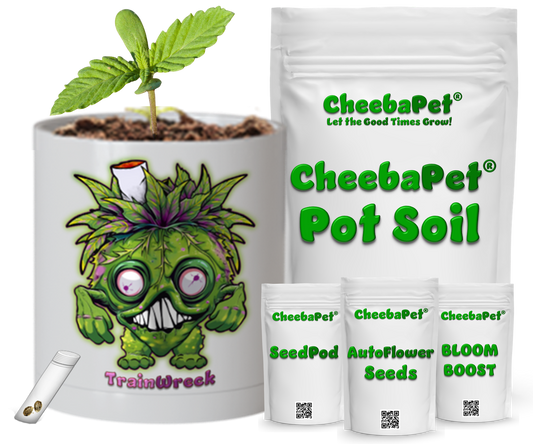CheebaPet Planter Kit - TrainWreck