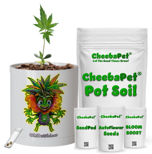 CheebaPet Planter Kit - WhiteWidow