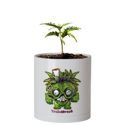 CheebaPet Planter Kit - TrainWreck